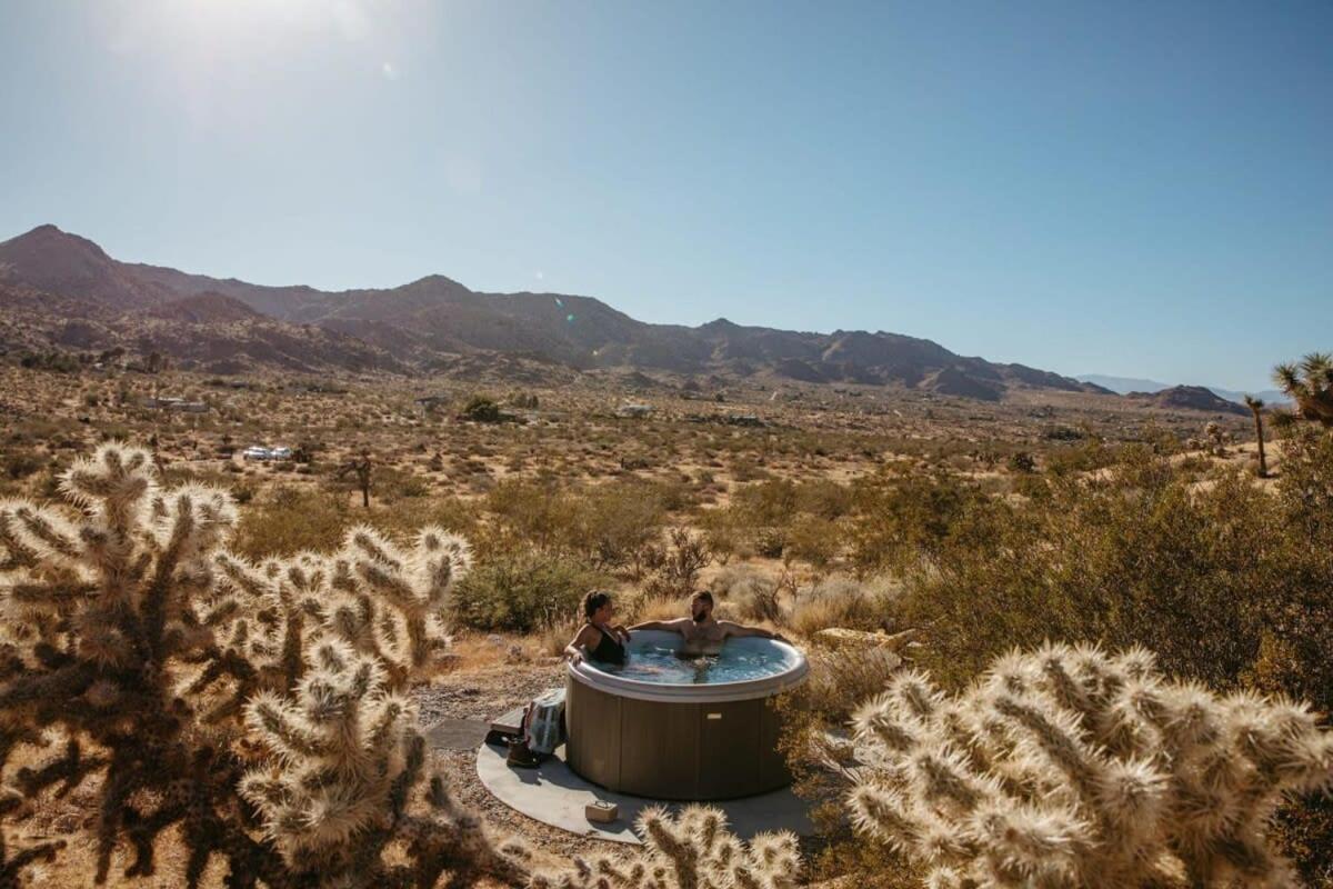 Shelter 1- A Classic- At Joshua Tree Park Entrance Eksteriør bilde